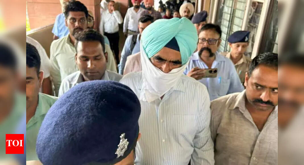 The Times of India - Business - News Image