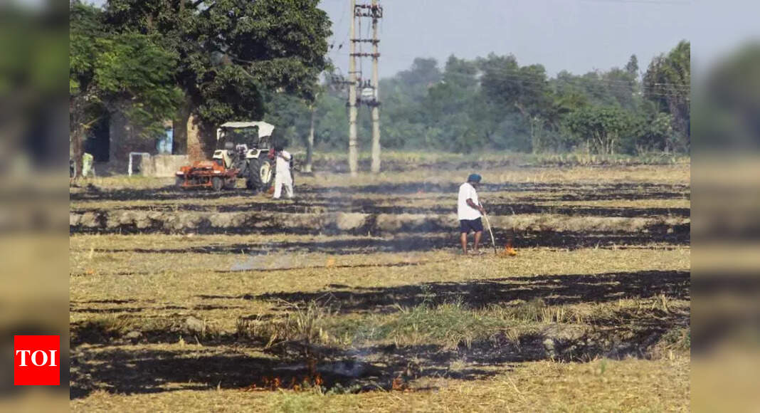 The Times of India - Politics - News Image