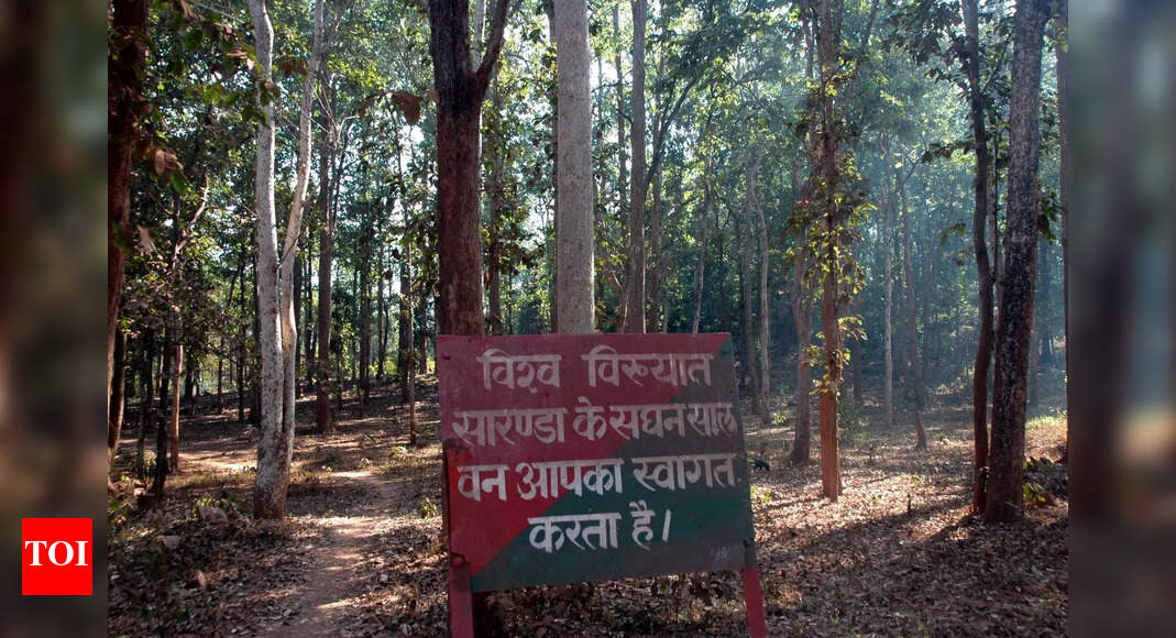 Jharkhand Government Proposes Sanctuary Status for 250 sq km of Saranda Forest Amid Tribal Concerns
