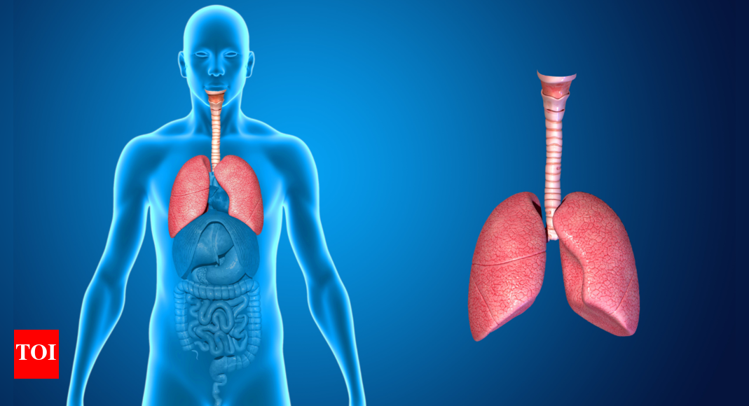 1 in 3 global cancer deaths: Why non-drinkers are now at risk for liver cancer