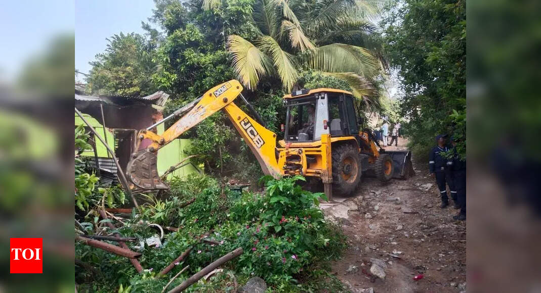 The Times of India - Business - News Image