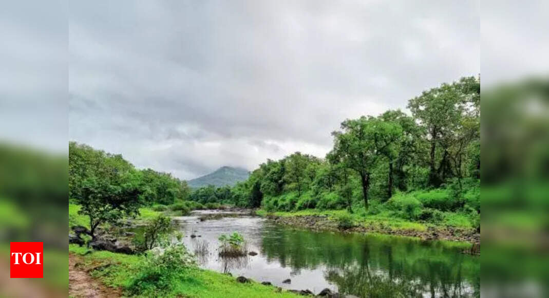 Tree Authority to decide on bids to fell 100+ trees for infra projects: HC
