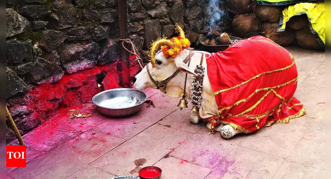 Vasu Baras: Honouring the Cow, the Earth, and the Eternal Mother