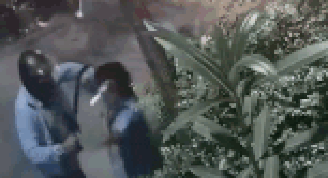 Caught on cam: Woman robbed, two fingers severed with machete in Bengaluru; 2 arrested