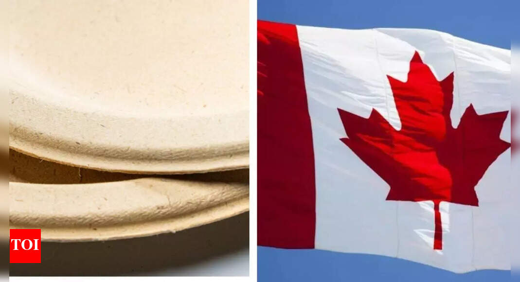 <div>Canada announces investigation into paper plates; Social media users troll govt; 'Feeling very much safe'</div>