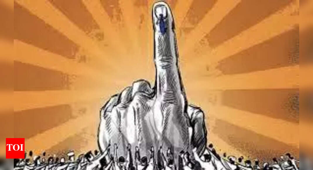 INDIA bloc may go to Bihar polls without CM face amid claims seat-sharing conflict to end soon