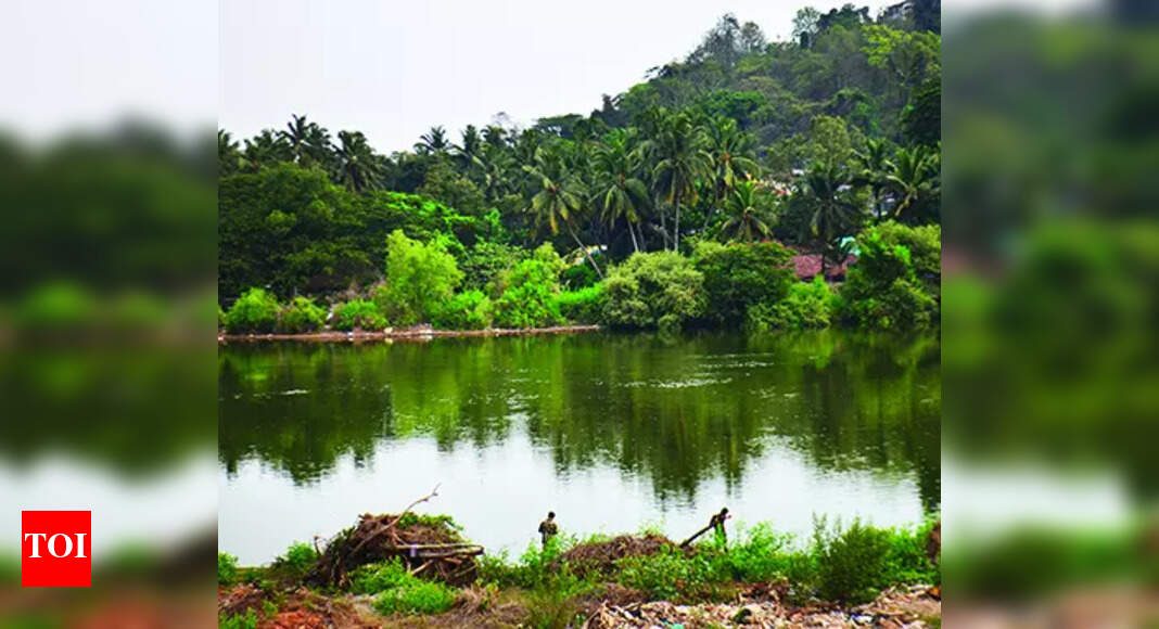 Experts seek statute to revive lakes in state