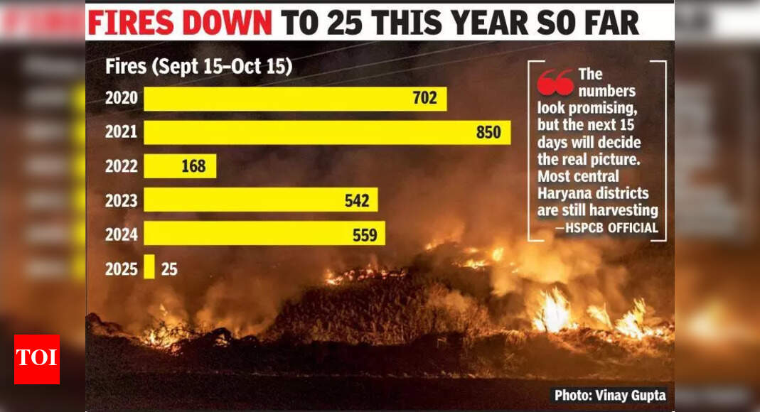 The Times of India - Other - News Image