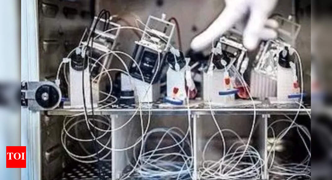 Wetware: When human mini-brains power computers