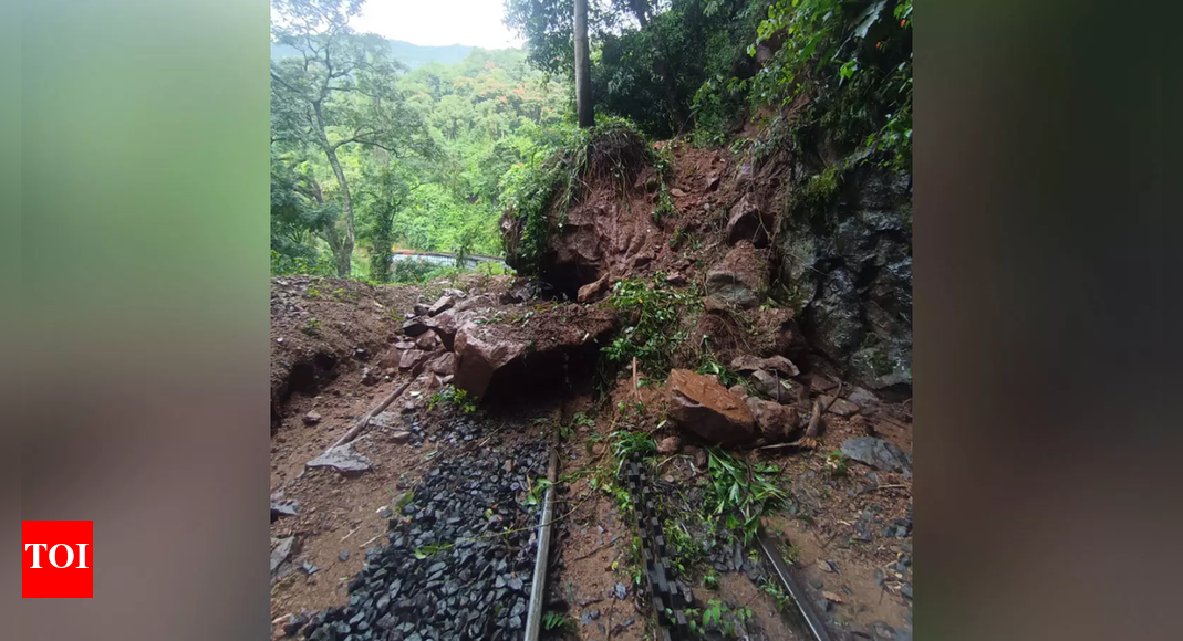 Tamil Nadu weather: Heavy rains trigger landslides; train services on Nilgiri Mountain Railway cancelled
