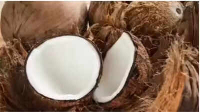 Coconut prices double in Maharashtra during festive season due to shortage