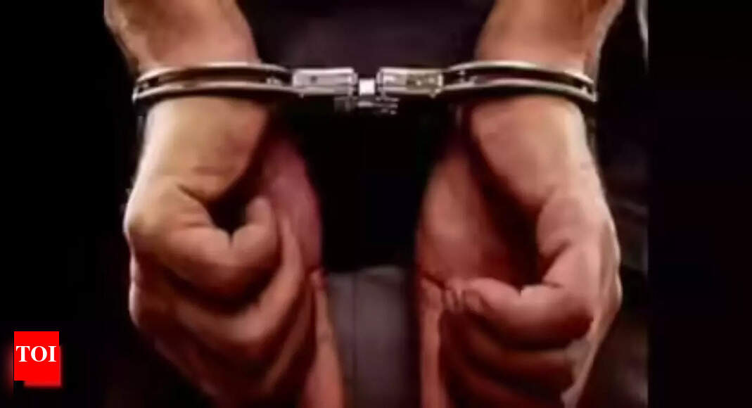 Drunk’ flier held for touching woman inappropriately on Chennai-Hyderabad flight; claims it was accidental