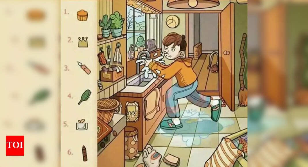 Optical illusion: Only the sharpest minds can spot the 6 hidden objects in this picture