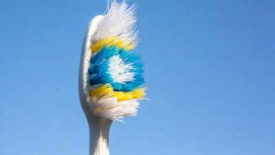 Still loyal to your toothbrush? Experts warn it may be crawling with deadly unseen microbes