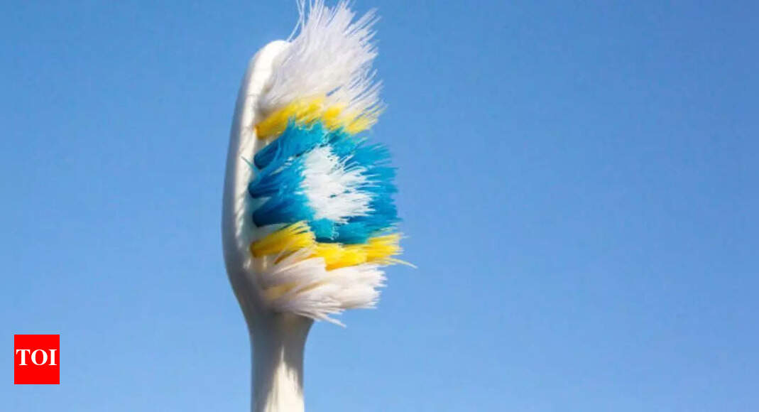 Still loyal to your toothbrush? Experts warn it may be crawling with deadly unseen microbes