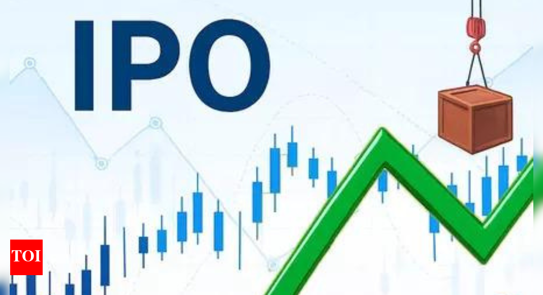 Primary market performance: 80 IPOs raise $14 billion this year till now