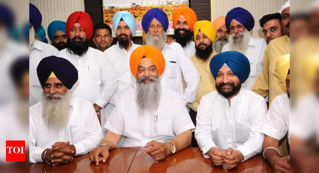 The Times of India - Politics - News Image