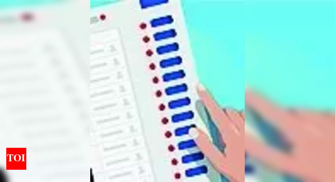 Goa: ZP members race to complete work before code of conduct takes effect