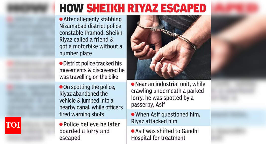 The Times of India - Entertainment - News Image