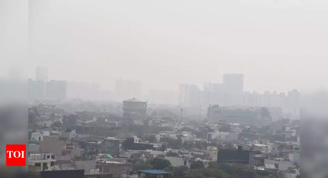 The Times of India - Environment - News Image