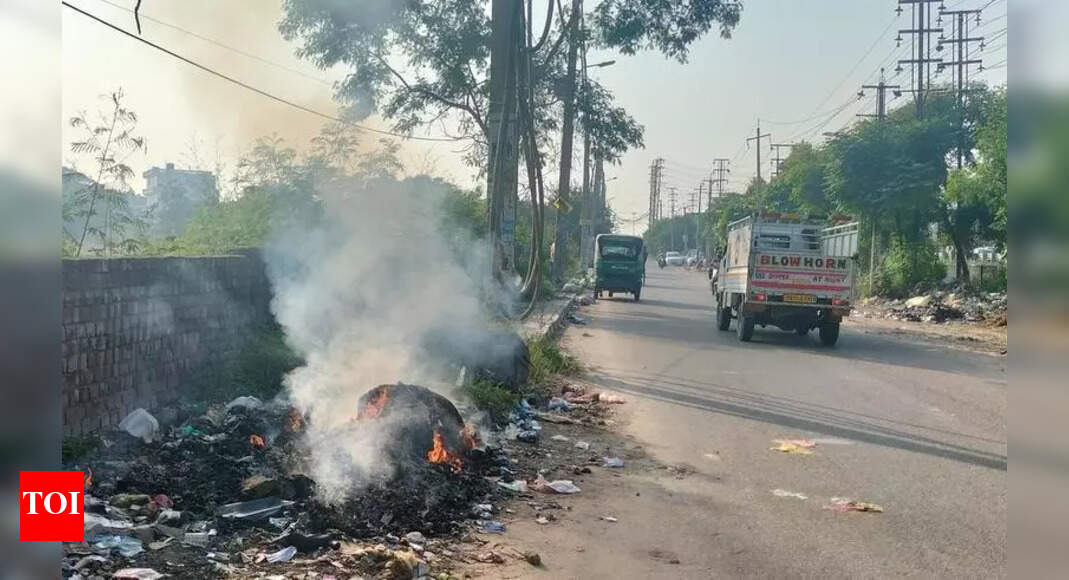 The Times of India - Politics - News Image