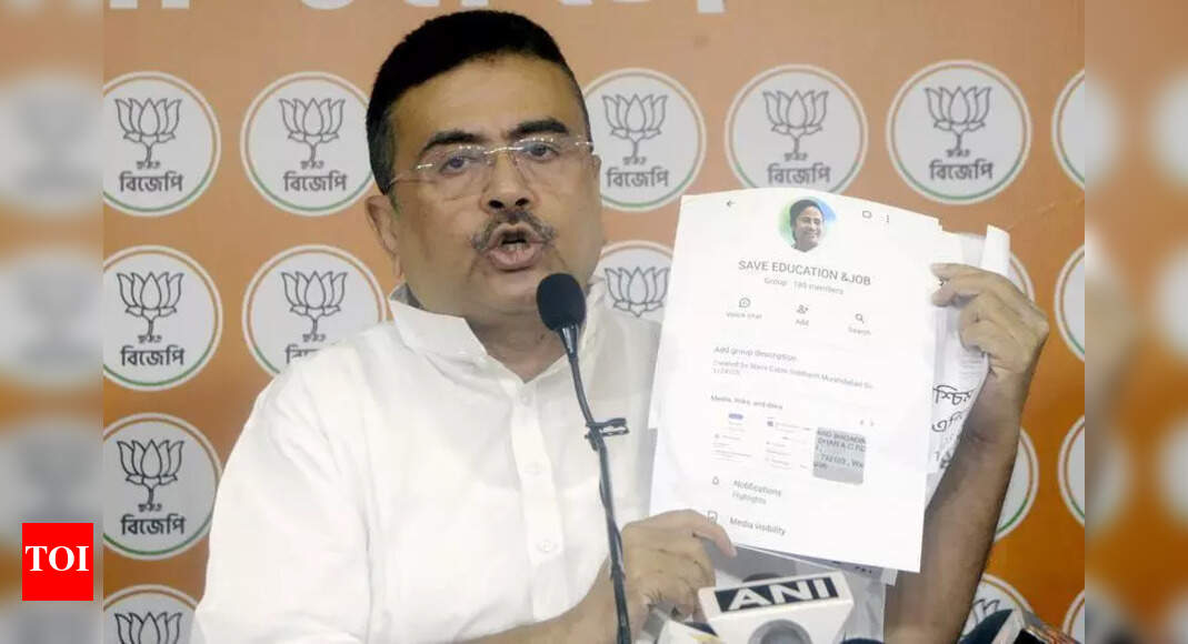 The Times of India - Politics - News Image