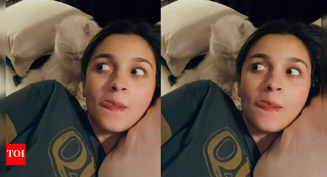 When pregnant Alia Bhatt spent Diwali in bed with pet cat Edward, just days before daughter Raha’s birth | Hindi Movie News – The Times of India
