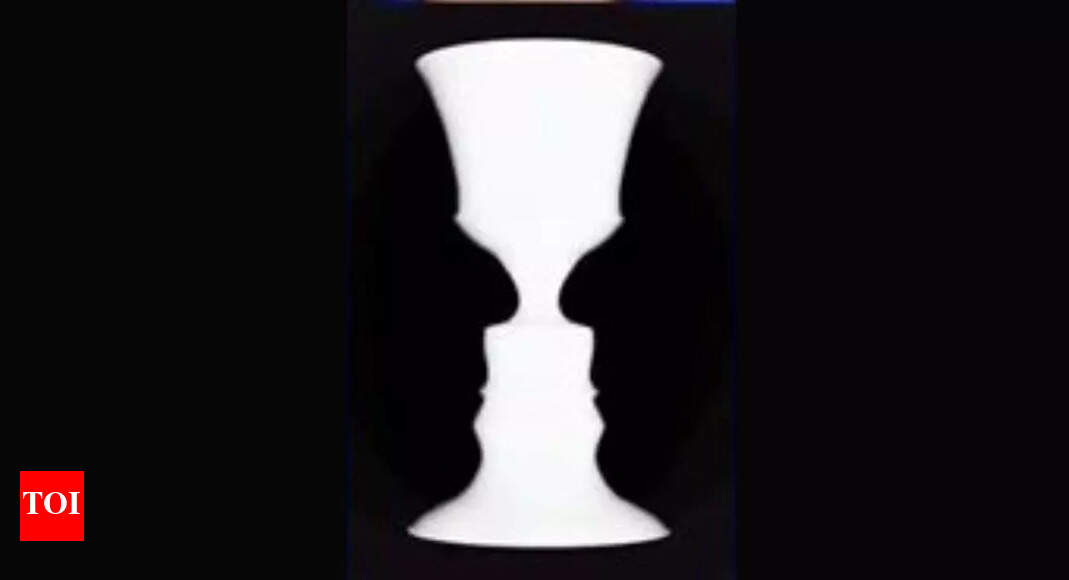 Optical illusion personality test: Two men or a vase? What you see first reveals if you are a born leader or strive for self-development – The Times of India