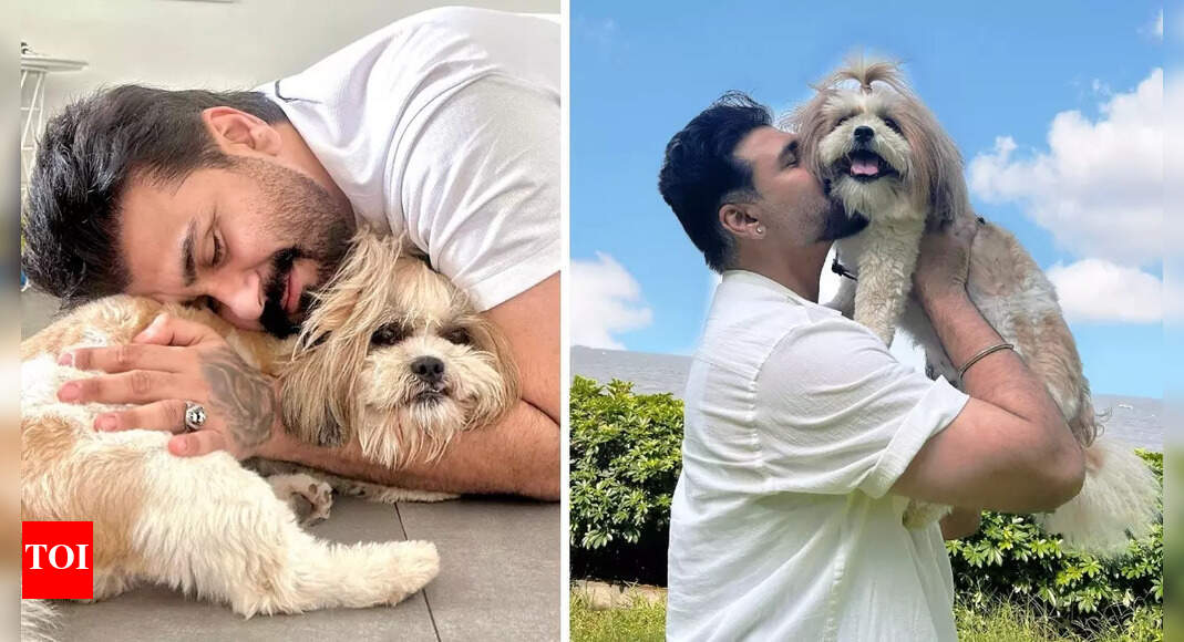 Aarya Babbar on how dogs get scared of firecrackers during Diwali; ‘I understand that pain’ - Exclusive