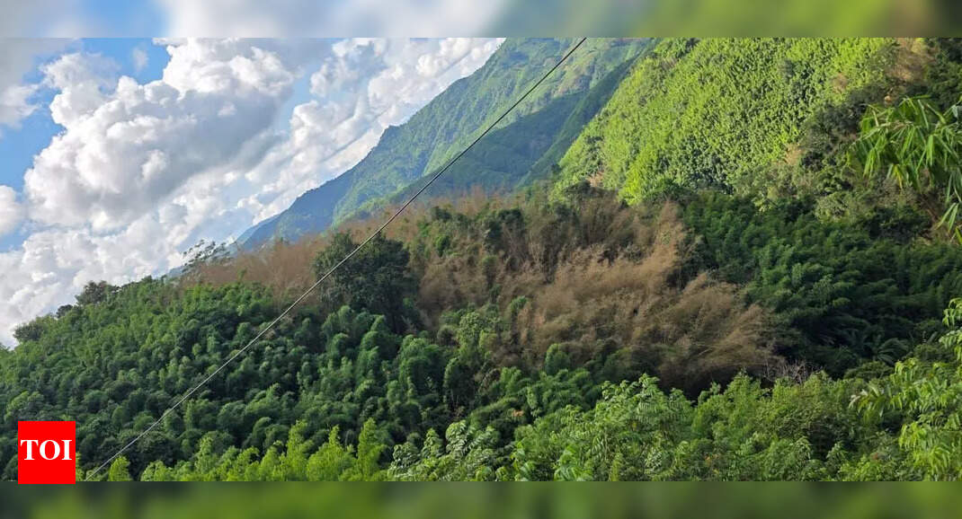 Mizoram families affected by ‘rawthing’ rose to 4756: Officials