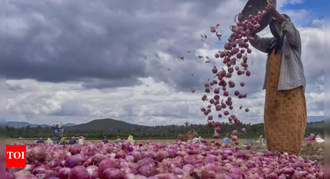 Spent Rs 66,000, Pune farmer gets Rs 664 for 7.5 quintals of rain-hit onions