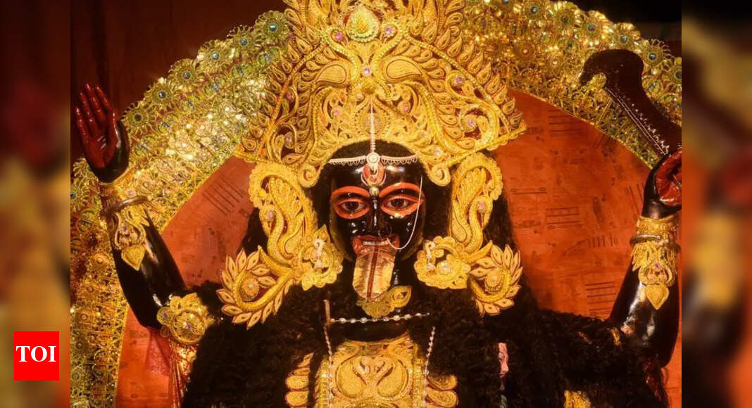 The Times of India - Entertainment - News Image