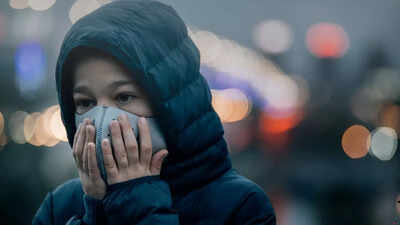 Delhi air quality deteriorates to 'Severe' a day after Diwali, precautions travellers and residents should take