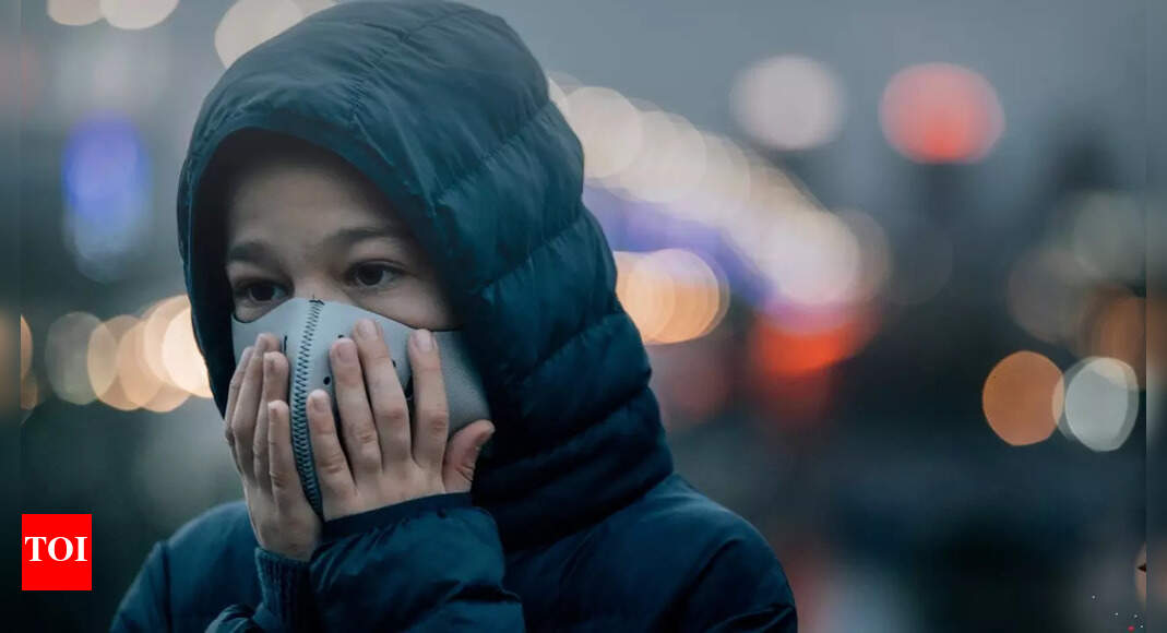 Delhi air quality deteriorates to 'Severe' a day after Diwali, precautions travellers and residents should take