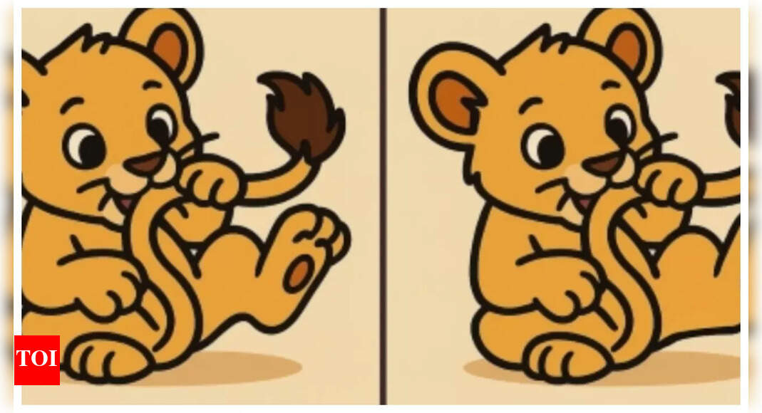 Optical illusion: Only someone with hawk eyes can spot the 3 differences between these pics in 15 seconds!