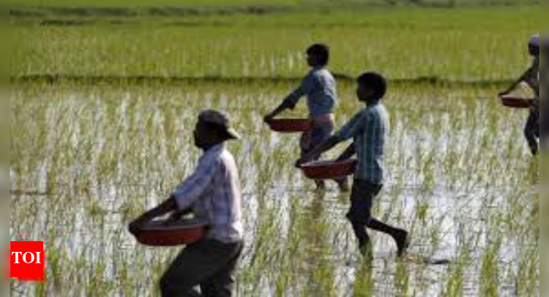 Pune flood: Agriculture minister Datta Bharne admits to delay in farmers' payouts; opposition protests