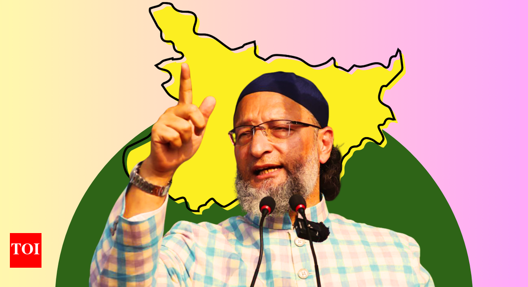 <div>Bihar polls: Why AIMIM has fielded non-Muslim candidates; Owaisi's move explained in 3 points</div> <div>Bihar polls: Why AIMIM has fielded non-Muslim candidates; Owaisi's move explained in 3 points</div>