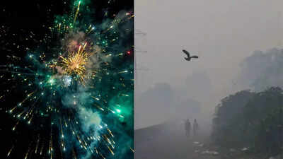 Delhi’s air pollution surges to hazardous levels post-Diwali threatening lungs, heart, brain, and overall health; here’s how to stay safe