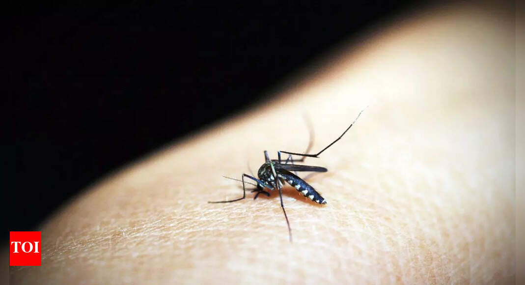 Cerebral malaria: Know the key symptoms, life-threatening complications, and how to prevent it