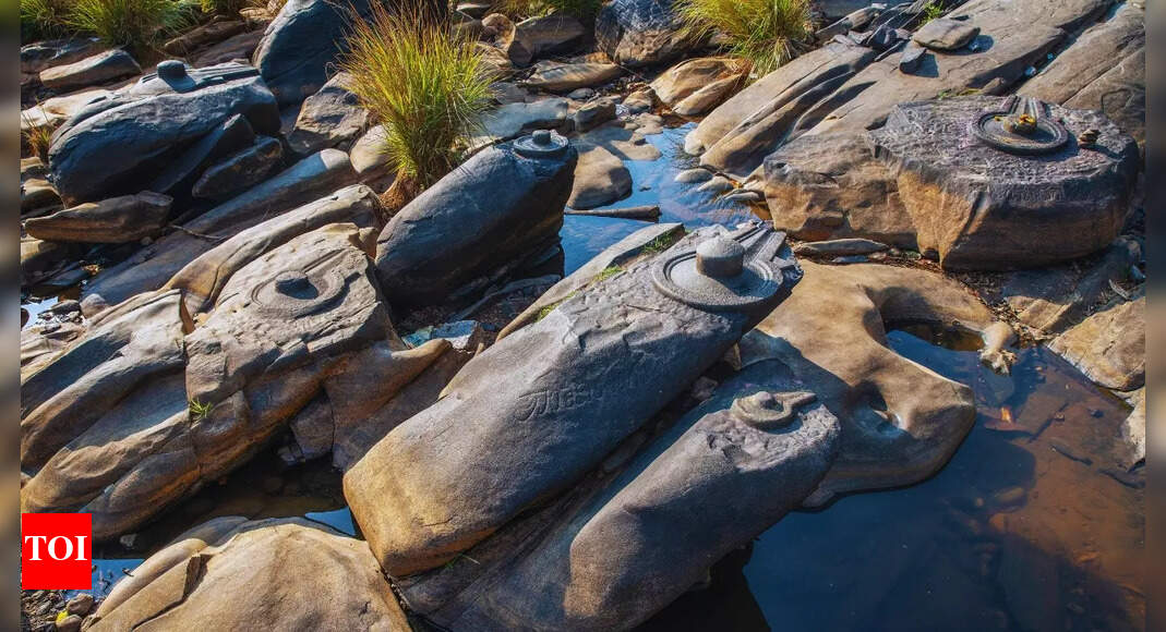 Does this riverbed in Karnataka really have thousands of Shivalingas?