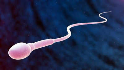 How ageing affects men’s sperm and genetic health: Shocking truths doctors want you to know