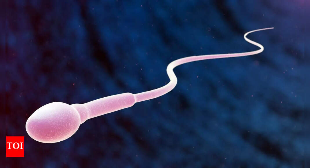 How ageing affects men’s sperm and genetic health: Shocking truths doctors want you to know