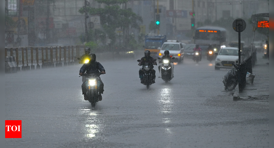 Chennai rain: Holiday declared for schools