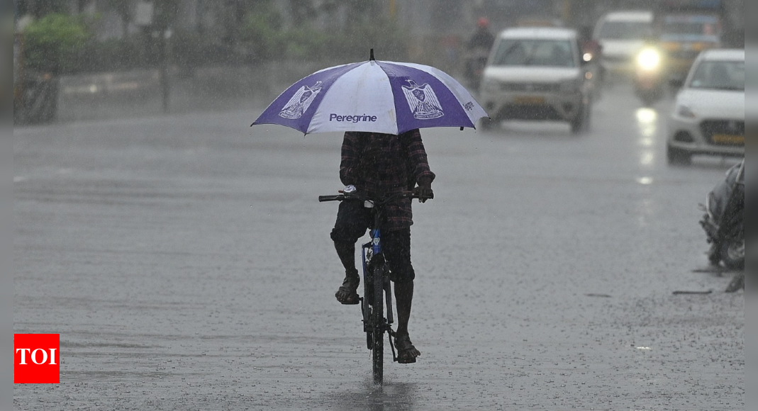 Chennai rain: Orange alert issued for city, red alert for four north TN districts