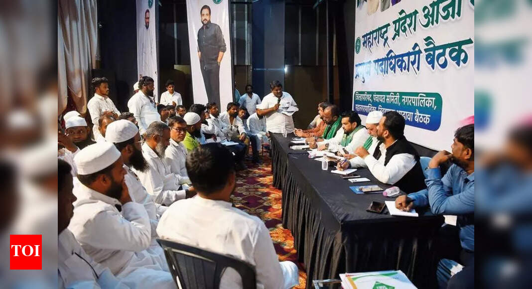 AIMIM to field candidates from across communities in local body polls ...