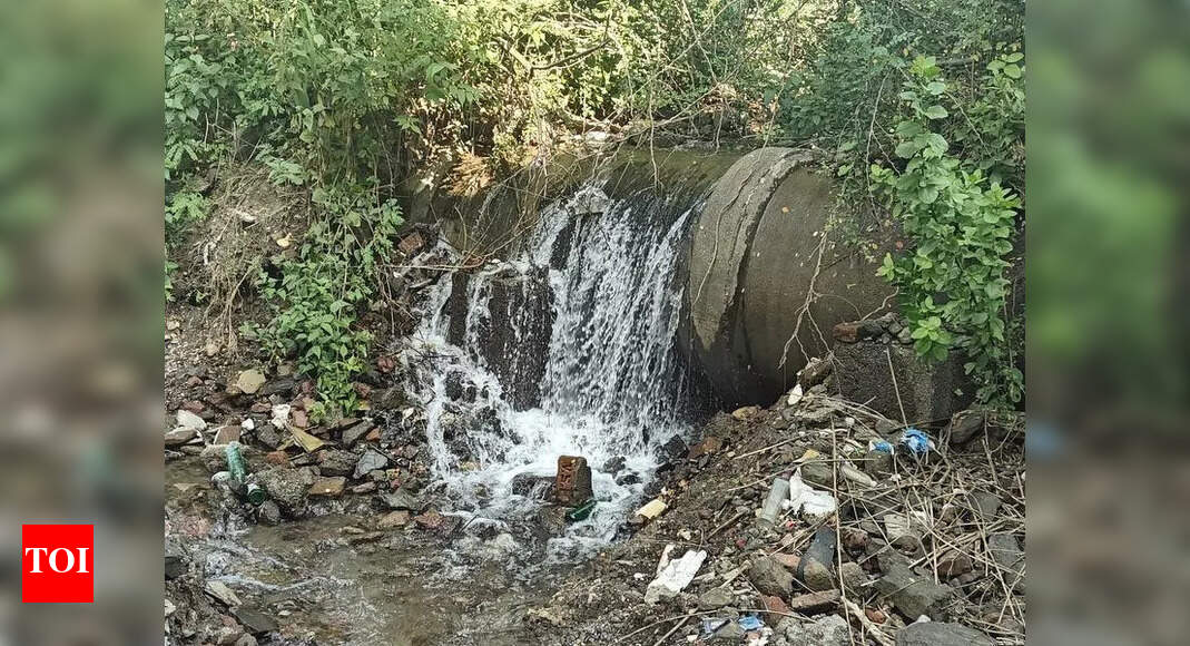 The Times of India - Business - News Image