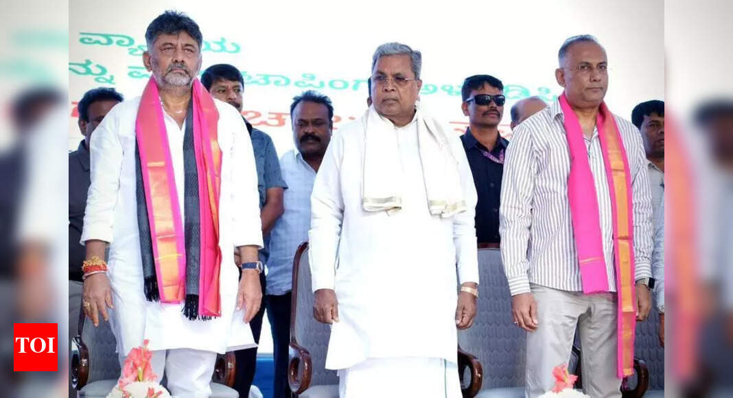 The Times of India - Politics - News Image