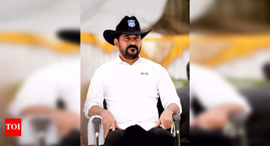 The Times of India - Politics - News Image