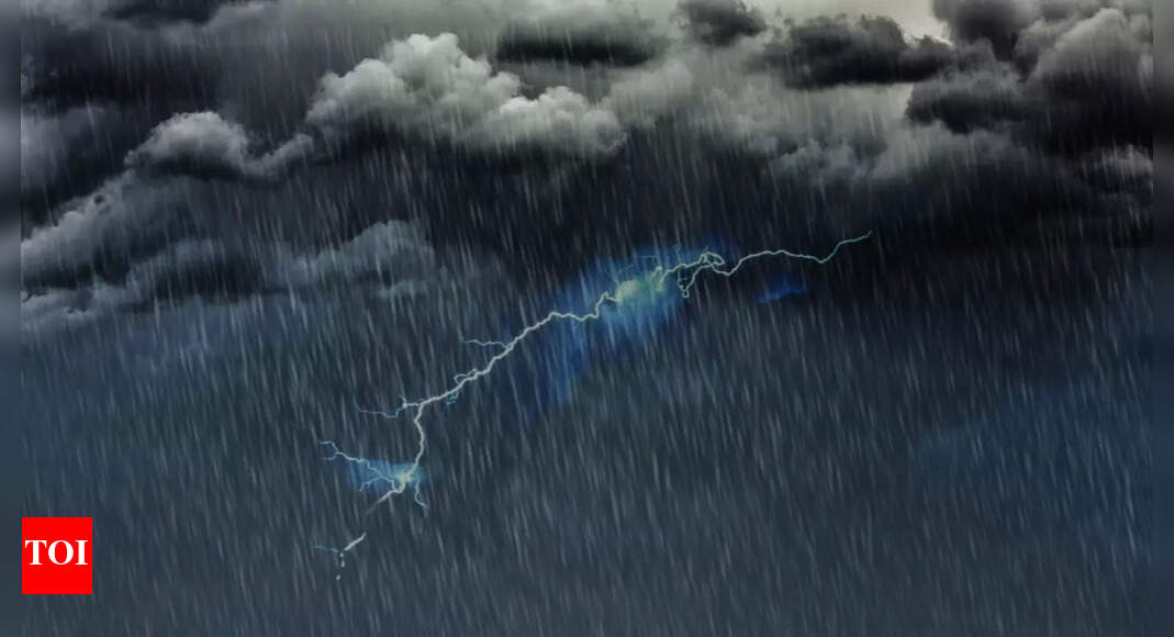 IMD update: Educational institutions closed in Tamil Nadu, Kerala and Puducherry amid extreme rainfall