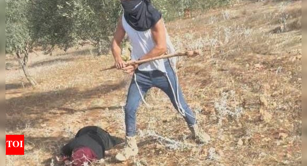 Struck over the head: Israeli settlers attack Palestinian farmers in West Bank; video captures assault on woman Struck over the head: Israeli settlers attack Palestinian farmers in West Bank; video captures assault on woman